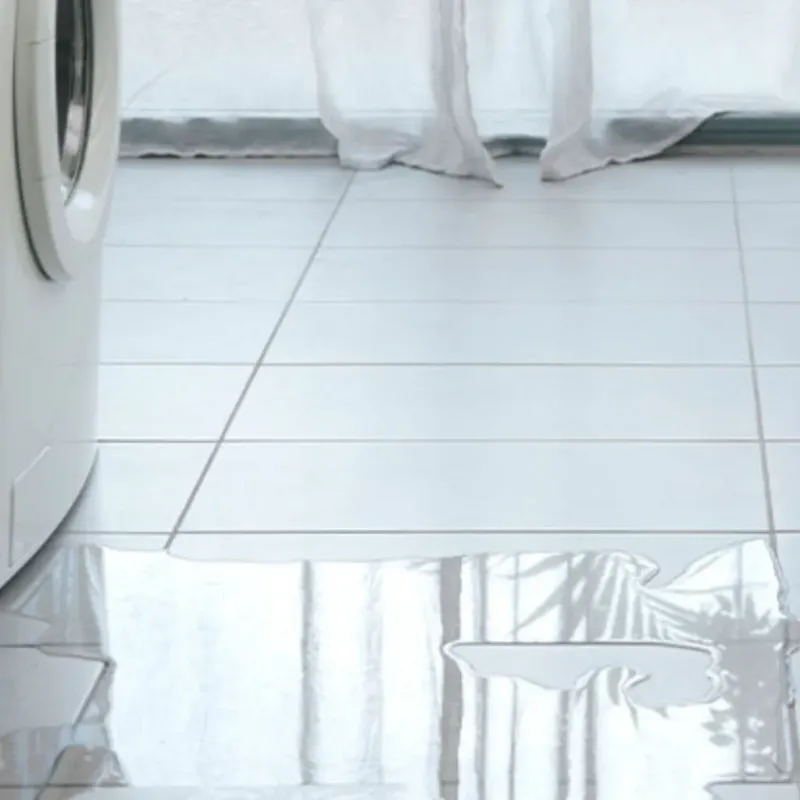 Appliance Leak Cleanup in Orange County, VA