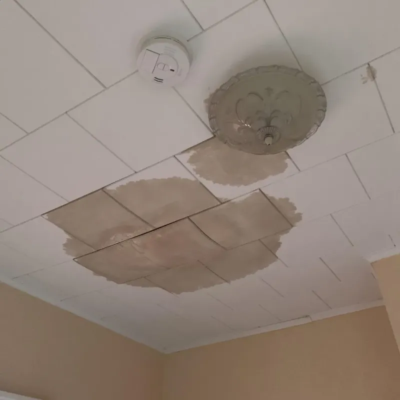 Ceiling Water Damage Repair in Orange County, VA
