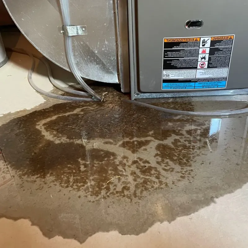 Pipe Burst and Leak Restoration in Orange County, VA